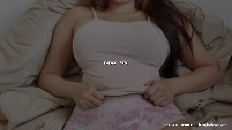 budak sex