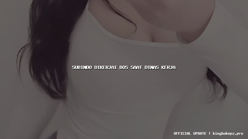 subindo dikerjai bos saat dinas kerja