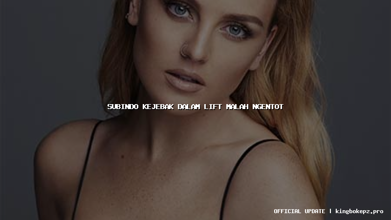 subindo kejebak dalam lift malah ngentot