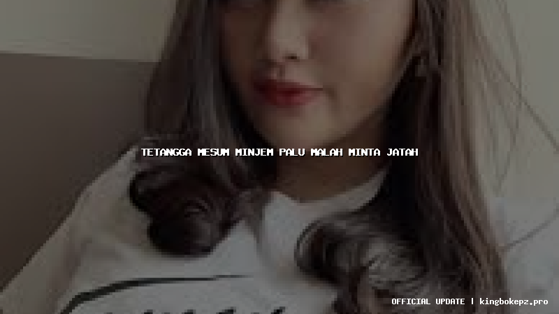 tetangga mesum minjem palu malah minta jatah